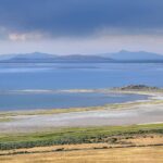 Exploring South Island’s Abundant Wildlife and Hunting Opportunities