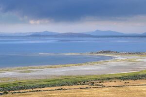 Exploring South Island’s Abundant Wildlife and Hunting Opportunities