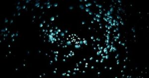 The Enchanting Glow: Unraveling the Mystery of Glowing Worms